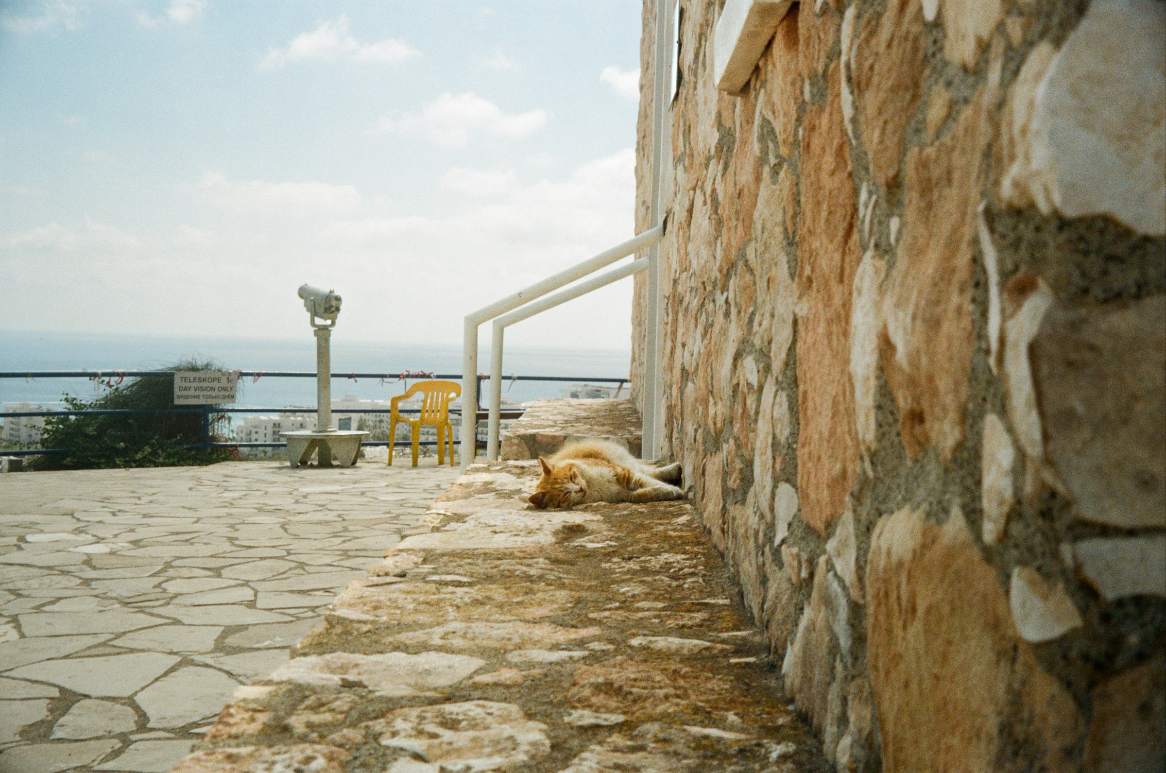 A ginger cat stretched out on a stone terrace beside a coin-operated telescope