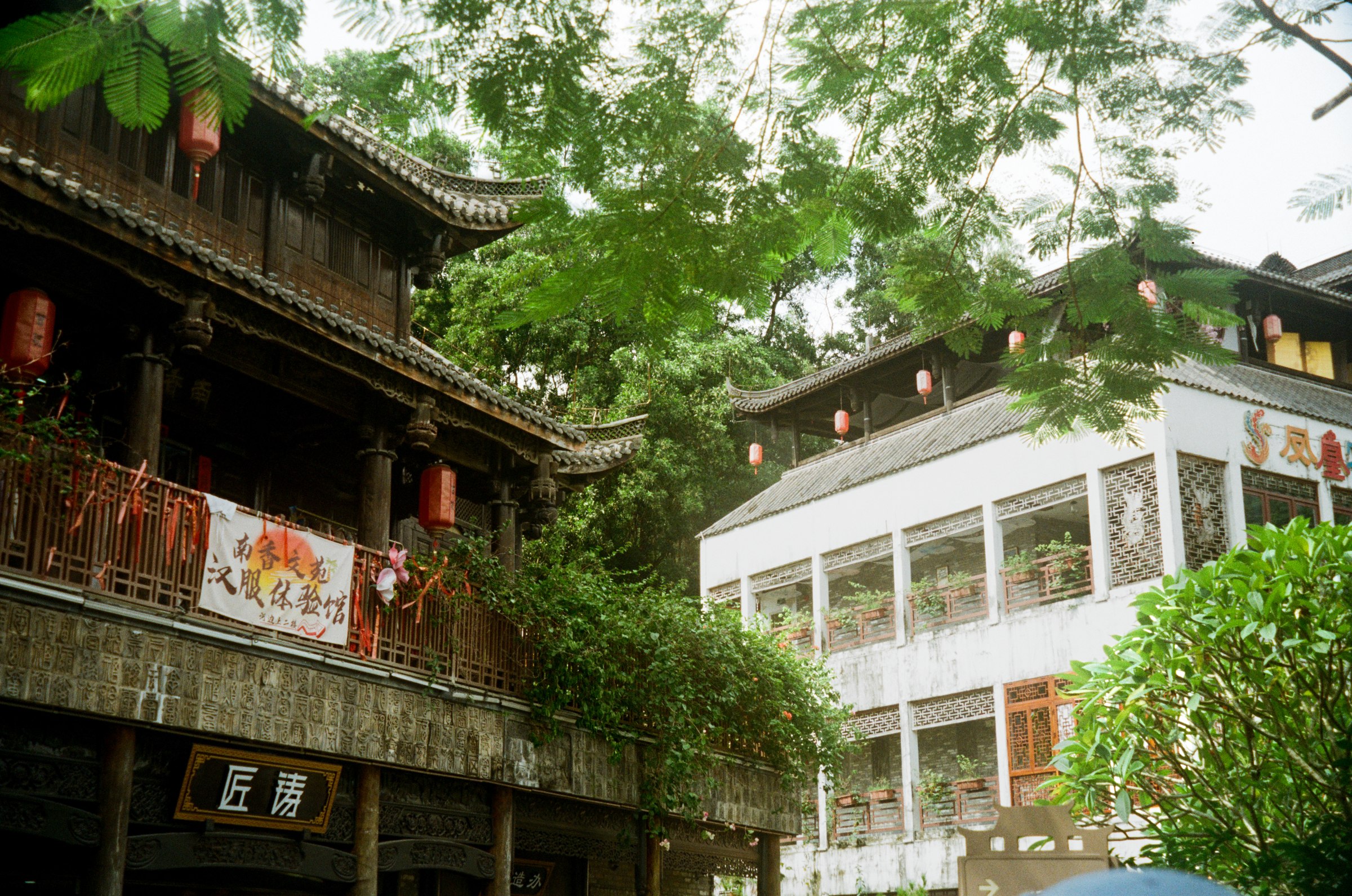 Traditional teahouse architecture framed by leaves
